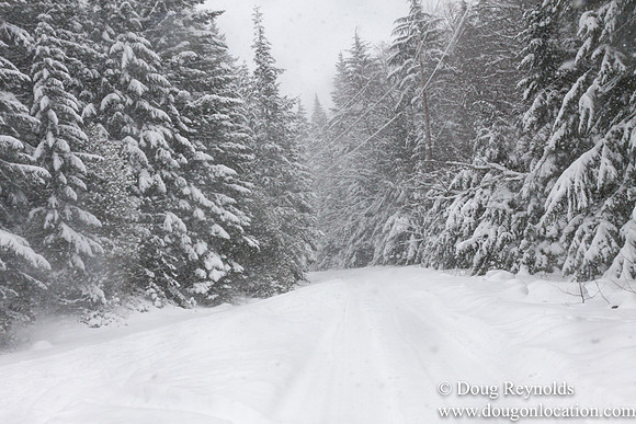 Snow Roads Mt HoodOregon