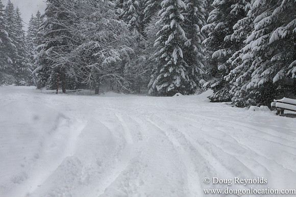Snow Roads Mt HoodOregon