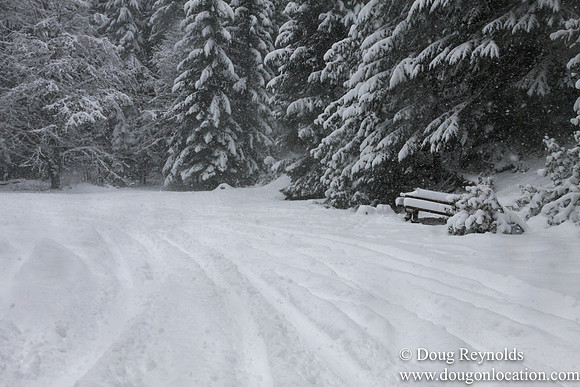 Snow Roads Mt HoodOregon