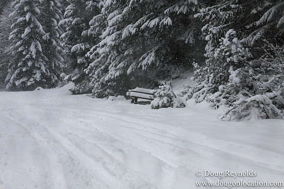 Snow Roads Mt HoodOregon