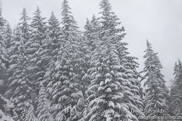 Snow Roads Mt HoodOregon