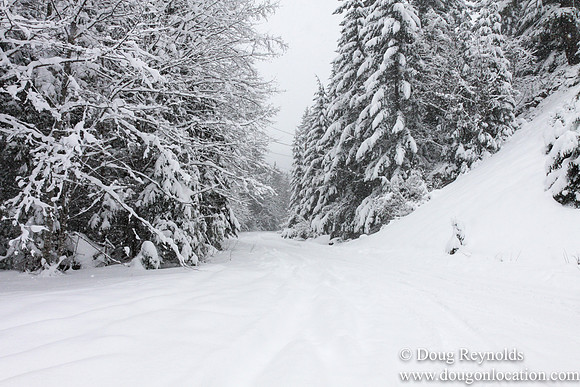 Snow Roads Mt HoodOregon