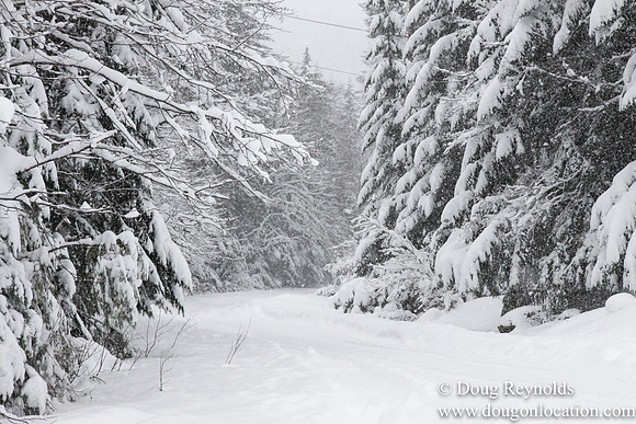 Snow Roads Mt HoodOregon