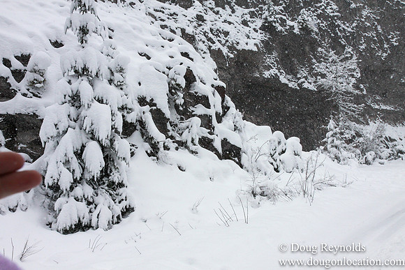 Snow Roads Mt HoodOregon