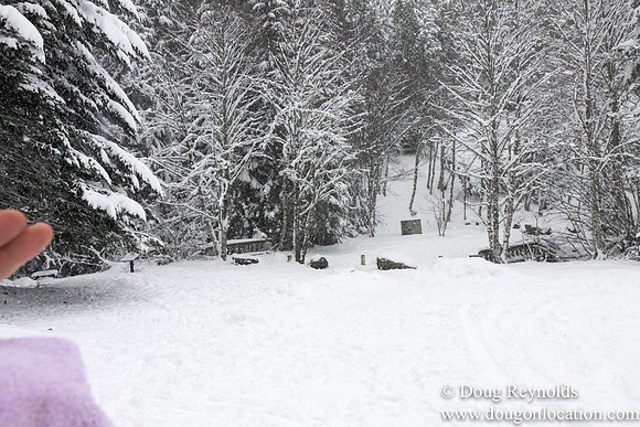 Snow Roads Mt HoodOregon