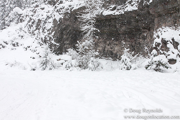 Snow Roads Mt HoodOregon