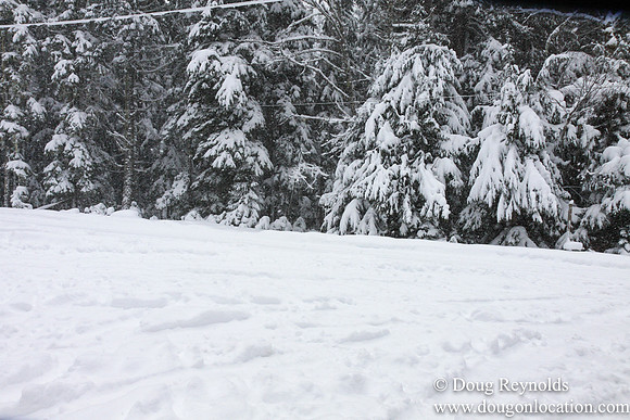Snow Roads Mt HoodOregon