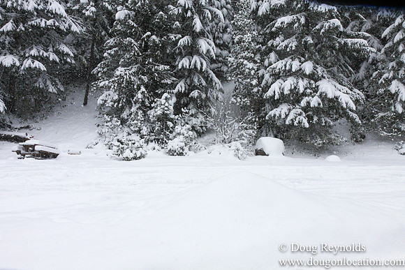 Snow Roads Mt HoodOregon