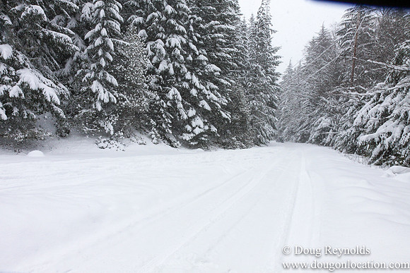 Snow Roads Mt HoodOregon