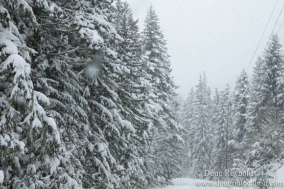 Snow Roads Mt HoodOregon
