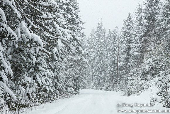 Snow Roads Mt HoodOregon