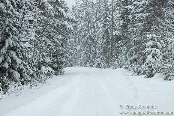 Snow Roads Mt HoodOregon