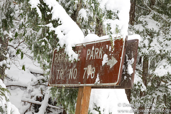 Snow Roads Mt HoodOregon