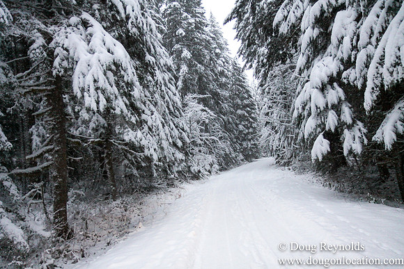 Snow Roads Mt HoodOregon