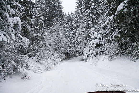 Snow Roads Mt HoodOregon