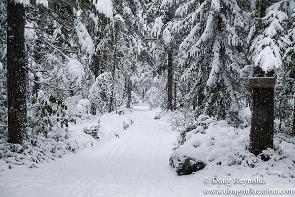 Snow Roads Mt HoodOregon