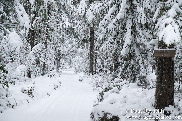 Snow Roads Mt HoodOregon