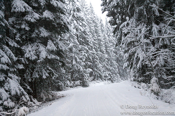 Snow Roads Mt HoodOregon