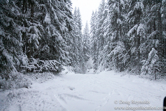 Snow Roads Mt HoodOregon