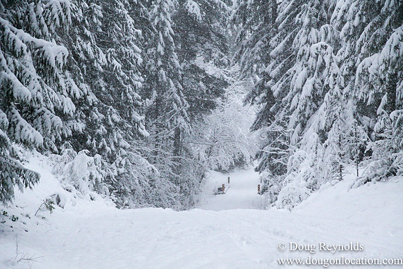 Snow Roads Mt HoodOregon