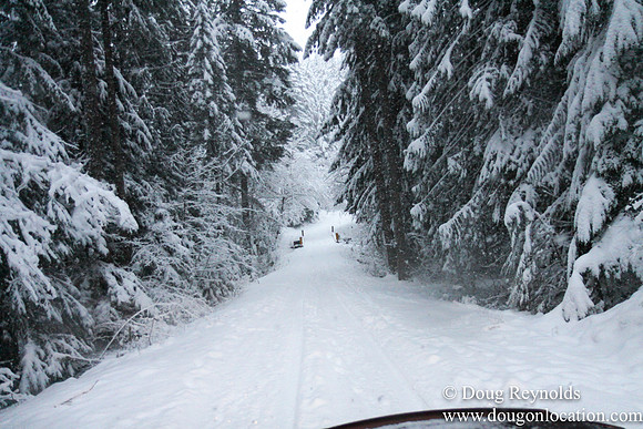 Snow Roads Mt HoodOregon