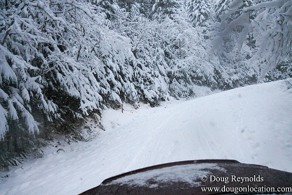 Snow Roads Mt HoodOregon