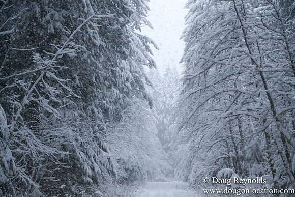 Snow Roads Mt HoodOregon