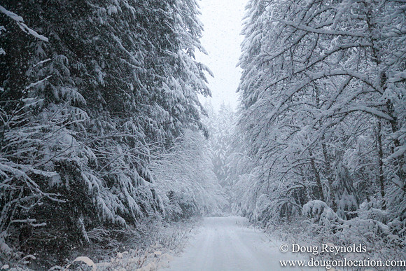 Snow Roads Mt HoodOregon