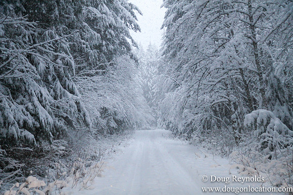 Snow Roads Mt HoodOregon