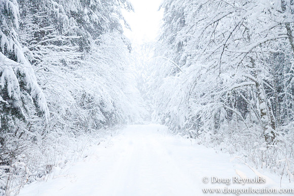 Snow Roads Mt HoodOregon