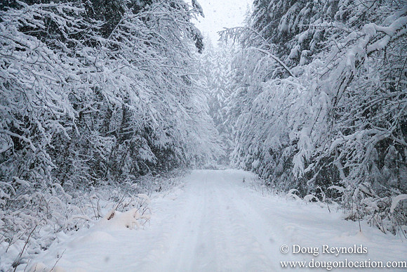 Snow Roads Mt HoodOregon