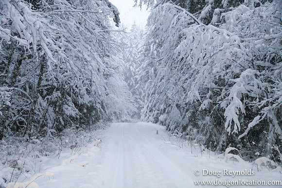 Snow Roads Mt HoodOregon