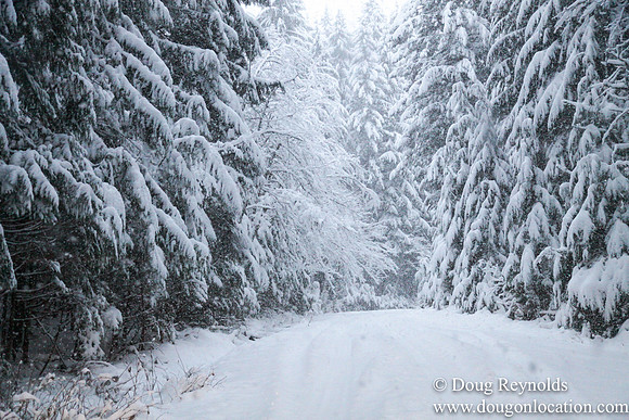 Snow Roads Mt HoodOregon