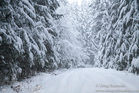 Snow Roads Mt HoodOregon