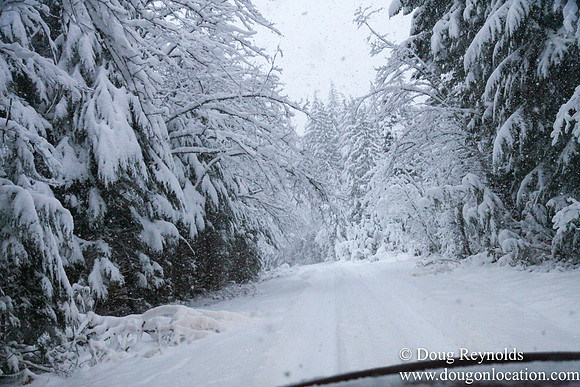 Snow Roads Mt HoodOregon