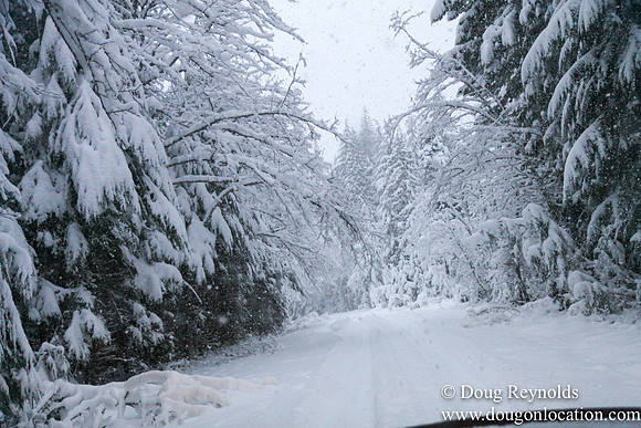Snow Roads Mt HoodOregon