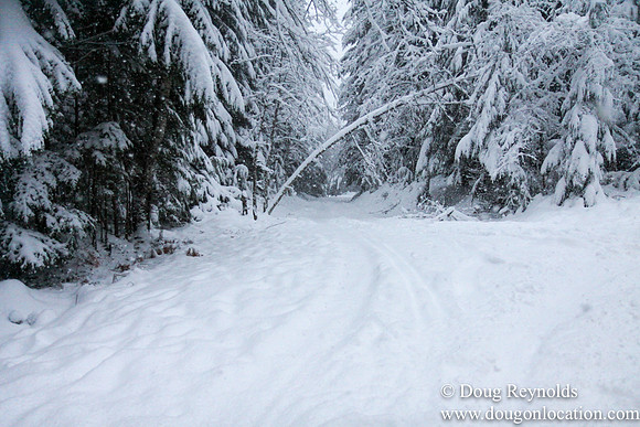 Snow Roads Mt HoodOregon
