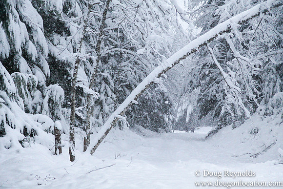 Snow Roads Mt HoodOregon
