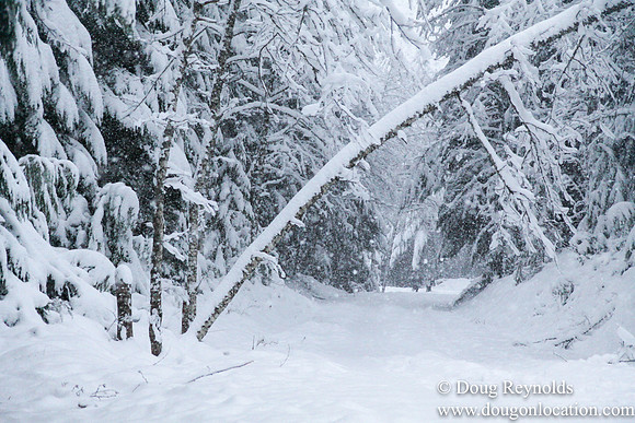 Snow Roads Mt HoodOregon