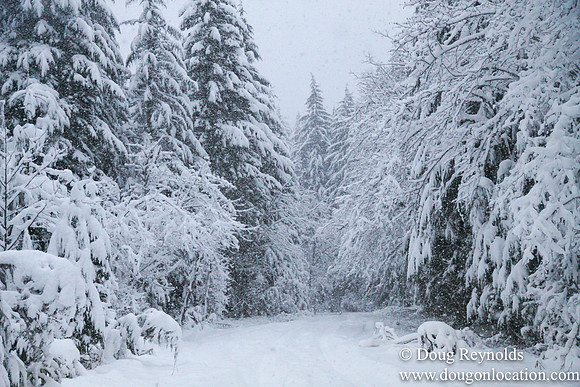 Snow Roads Mt HoodOregon