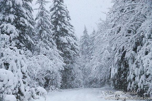 Snow Roads Mt HoodOregon