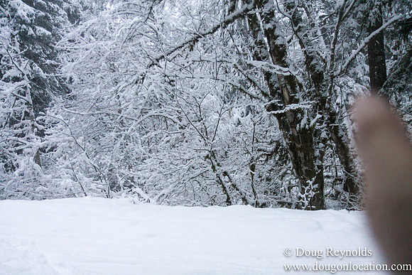 Snow Roads Mt HoodOregon