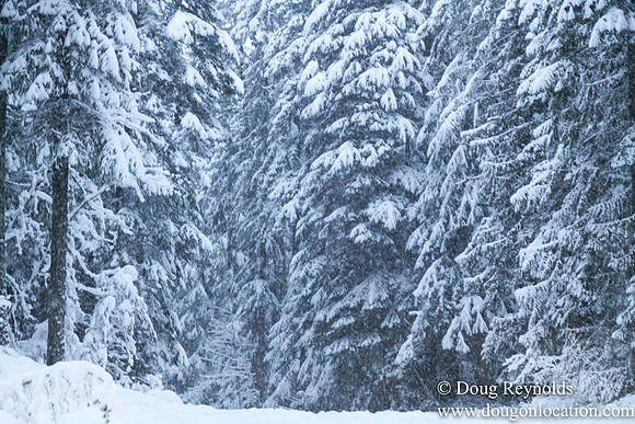 Snow Roads Mt HoodOregon