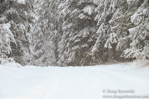 Snow Roads Mt HoodOregon