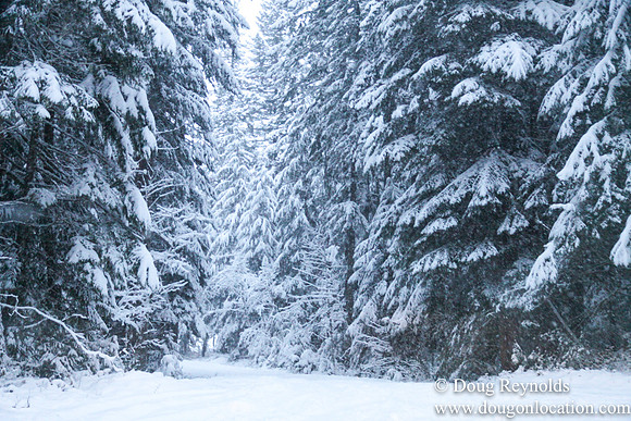 Snow Roads Mt HoodOregon