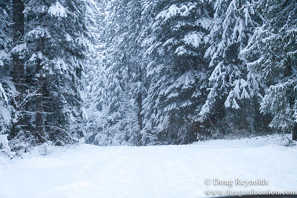Snow Roads Mt HoodOregon