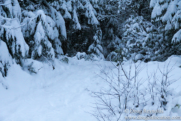 Snow Roads Mt HoodOregon