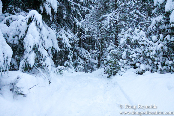 Snow Roads Mt HoodOregon