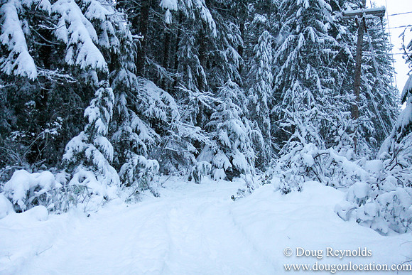 Snow Roads Mt HoodOregon