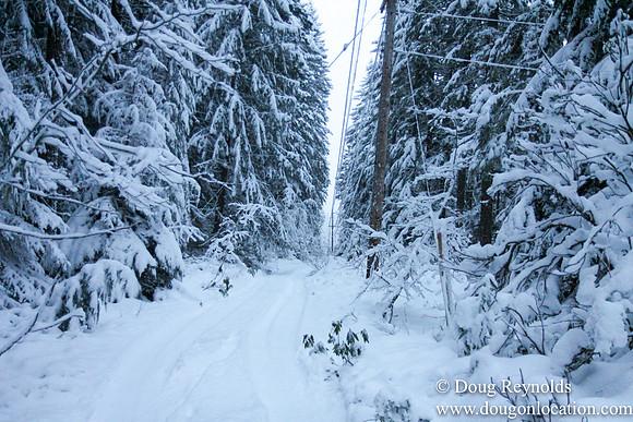Snow Roads Mt HoodOregon